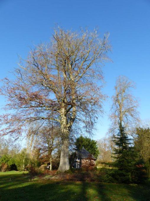 Chambre Le Notre Le Domaine Des Jardins De Bracquetuit Eksteriør bilde